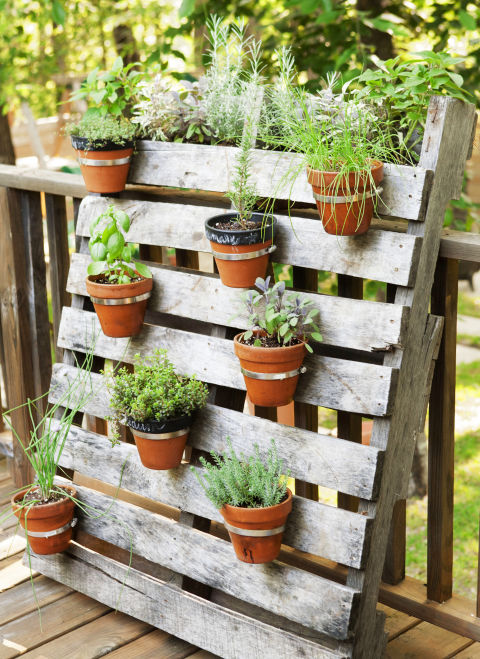 6 Tips for Planting a Container Garden