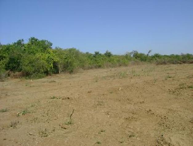 flat_lot_terreno_plano_1_