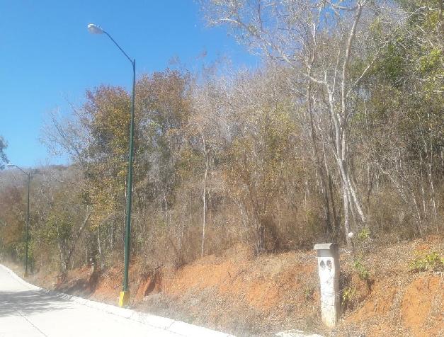 A LA VENTA EN EL RANCHO LOS VENADOS                                                                                                                   