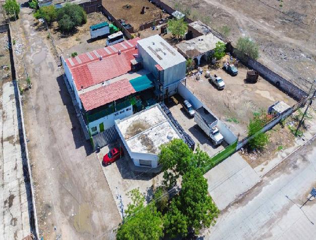 Empacadora de chile y hortalizas a la venta