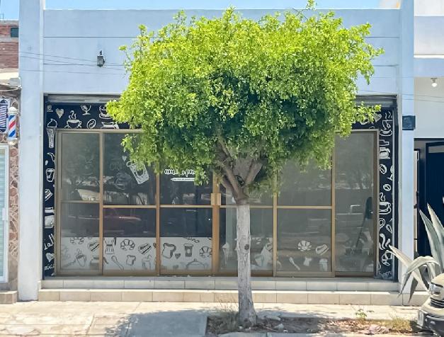 Local Comercial en Av. Delfin 